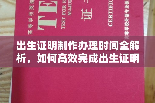 洱源出生证明制作办理时间全解析，如何高效完成出生证明申请？